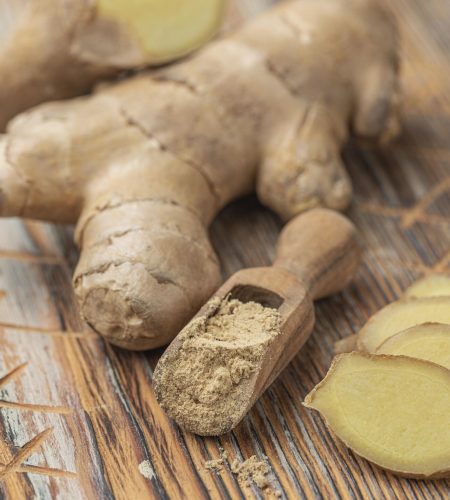 Ginger-scaled.jpg