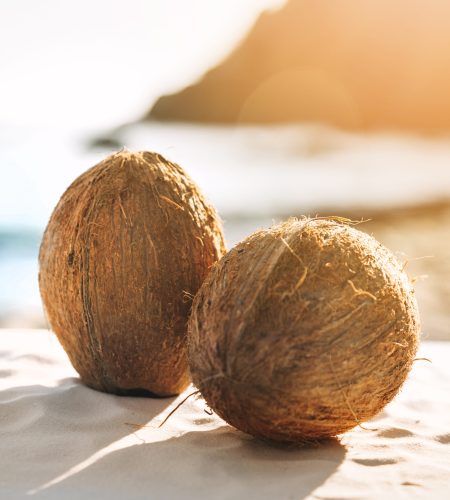 beach-background-with-two-coconuts